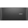 Bose FreeSpace DS 100SE (черный)