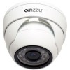 IP-камера Ginzzu HID-2301S